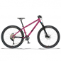 Preview: KUbikes 26 MTB Disc